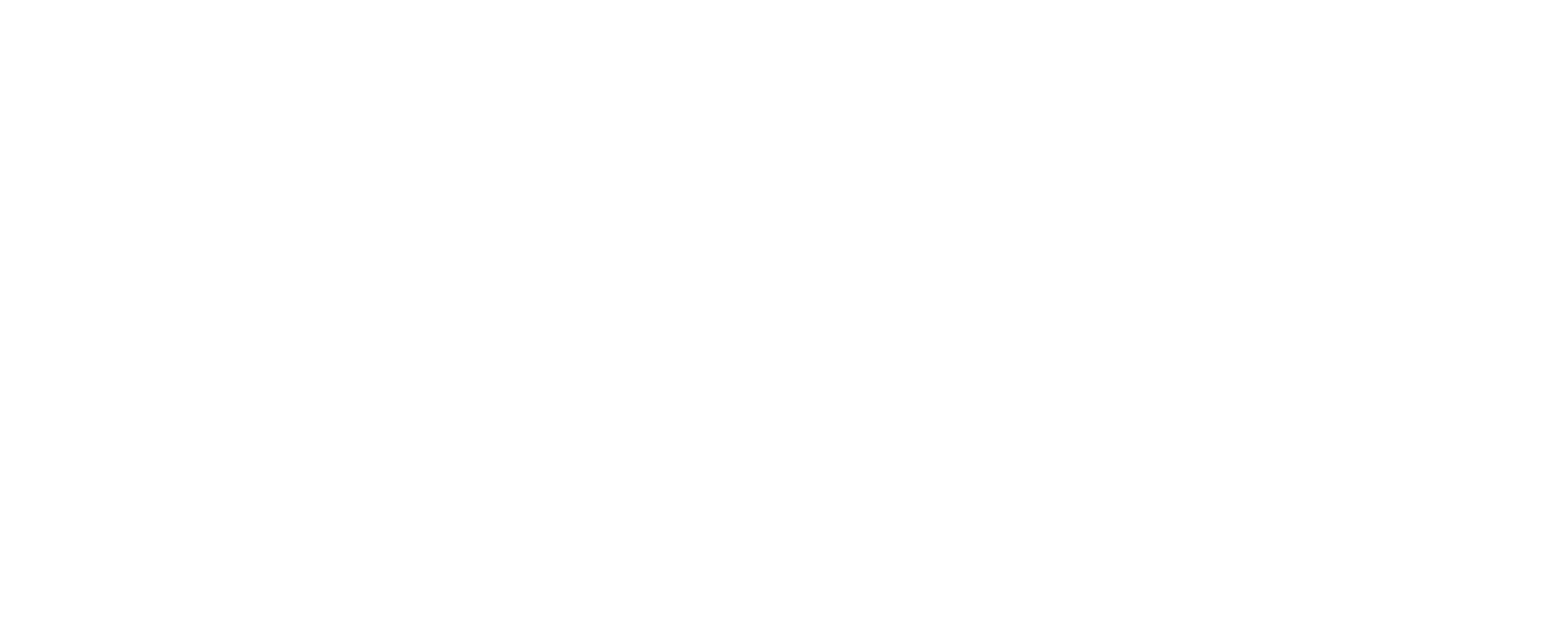 Logo Light